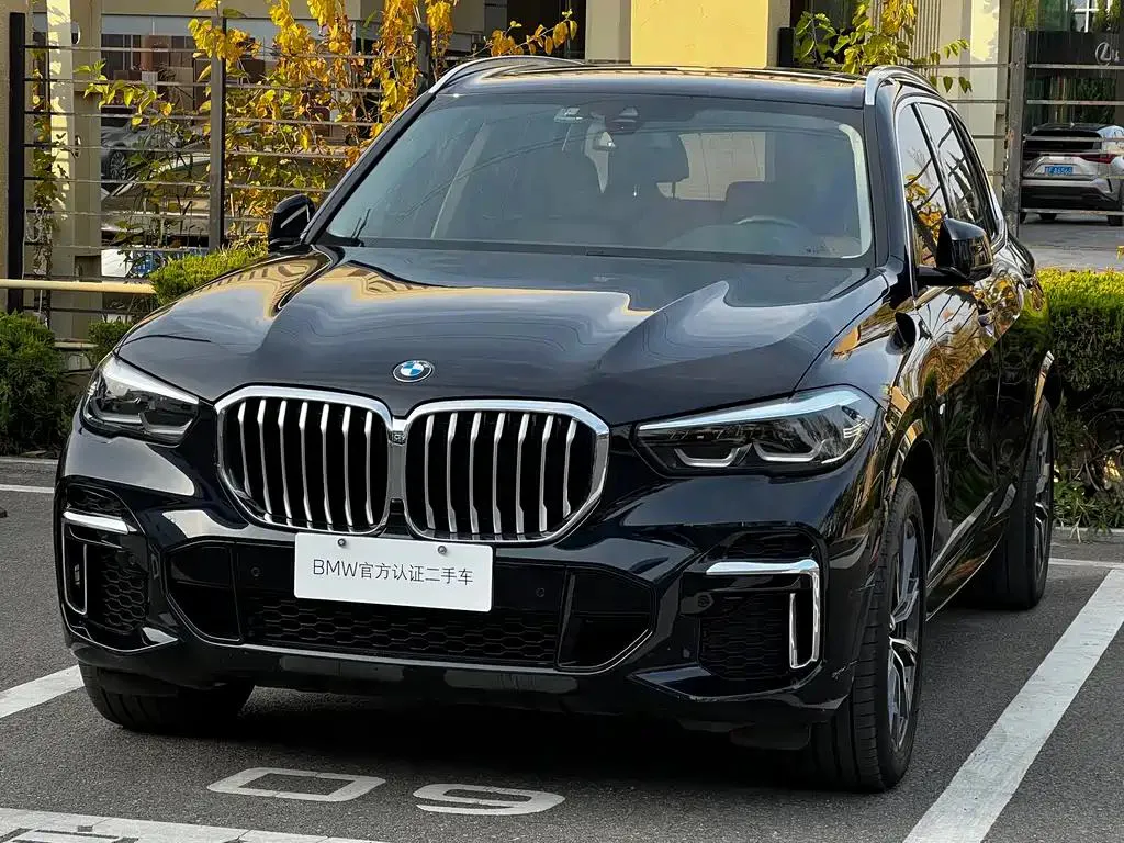 BMW BMW X5 — Чёрный