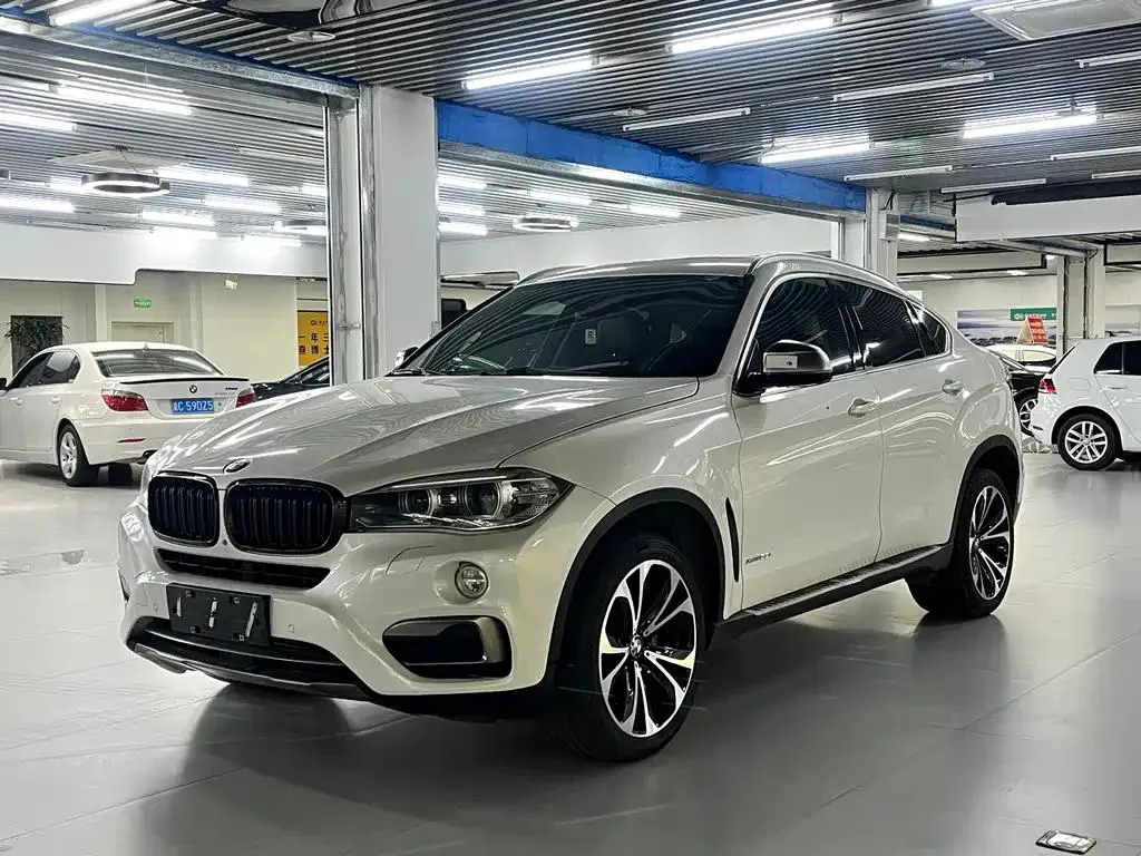 BMW X6 X6 2017 xDrive35i Luxury — photo 1