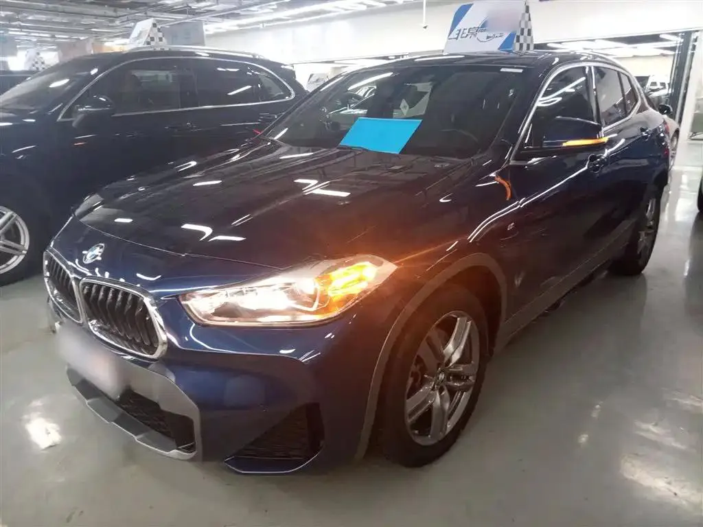 BMW BMW X2 — Blue