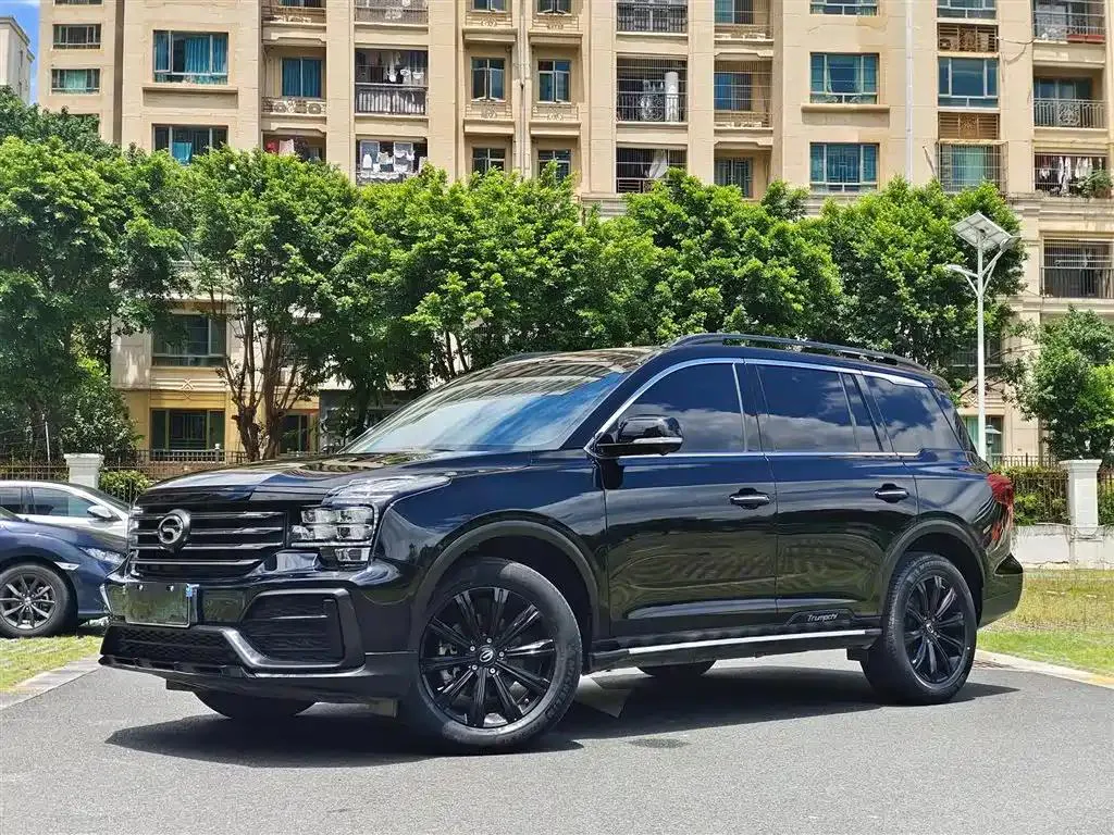 GAC Trumpchi Trumpchi Trumpchi GS8 2021 390T 2WD Dark Knight Edition — photo 1