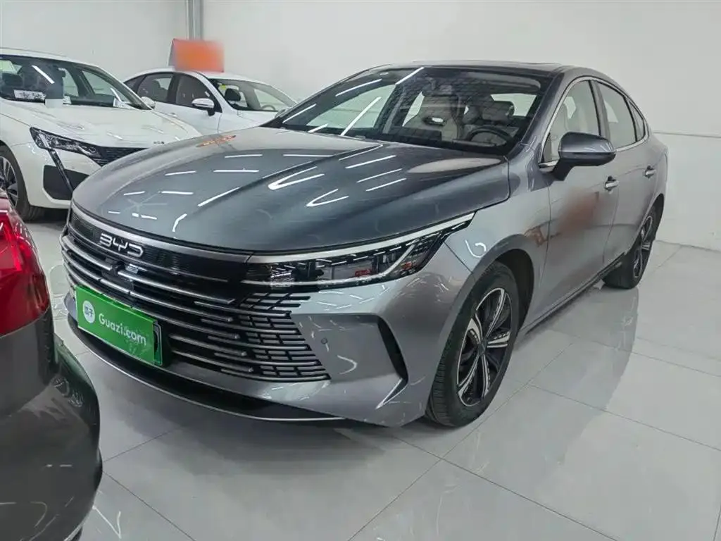 BYD Destroyer 05 Destroyer 05 2023 Champion Edition DM-i 120KM Prestige — photo 1
