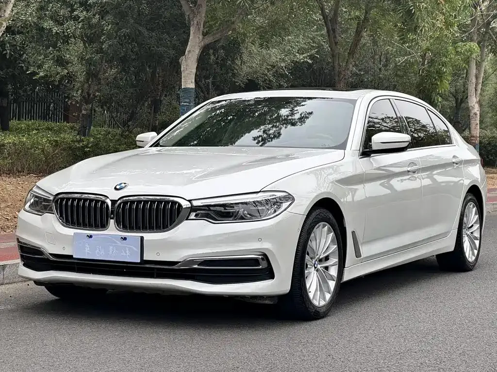 BMW 5 Series 5 Series 2019 530Li Premium Luxury Package — photo 1