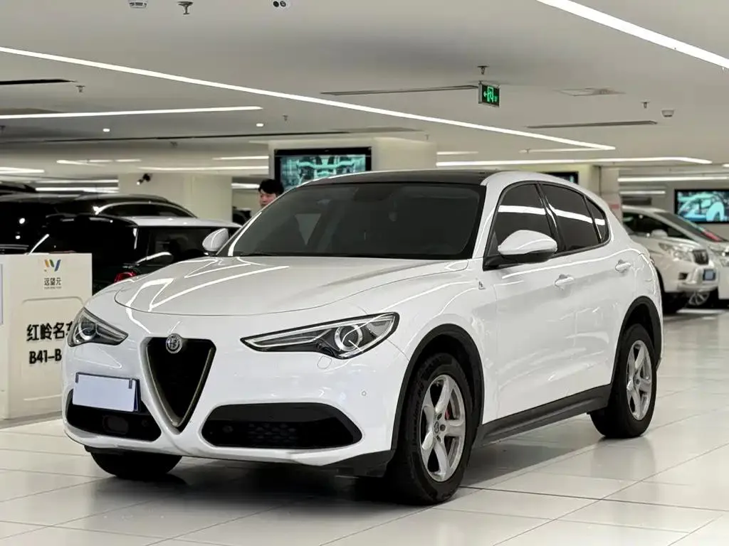 Alfa Romeo Stelvio Stelvio 2017 2.0T 200HP Elite Edition — photo 1