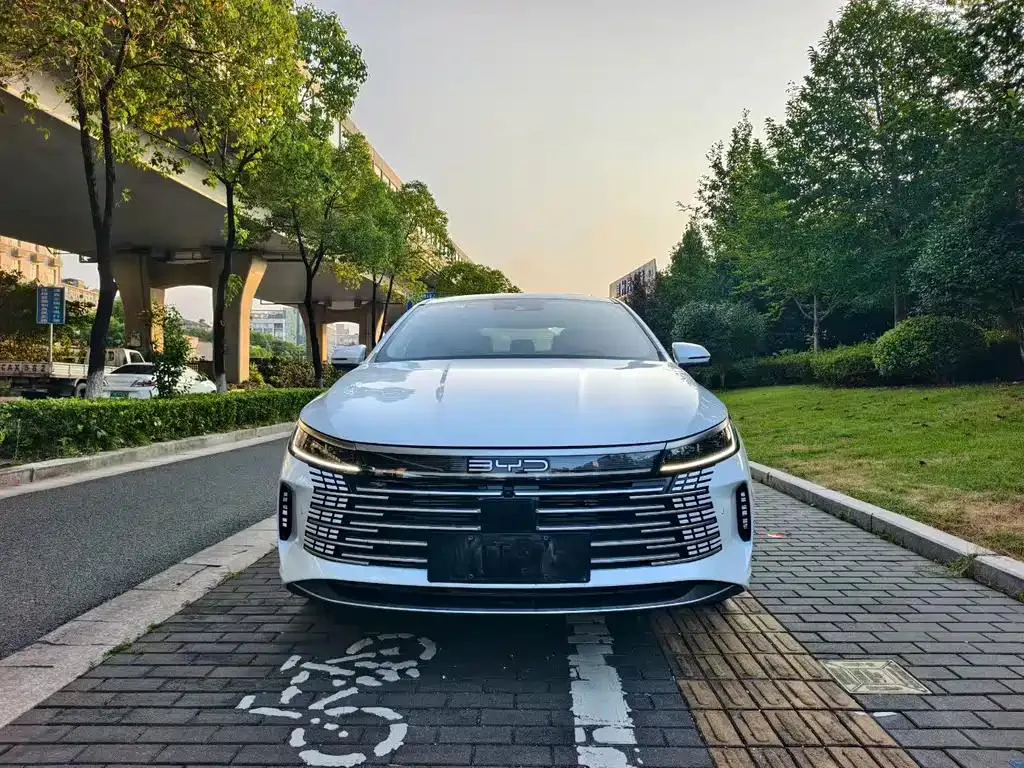 BYD Destroyer 05 Destroyer 05 2023 Champion Edition DM-i 120KM Flagship — photo 1