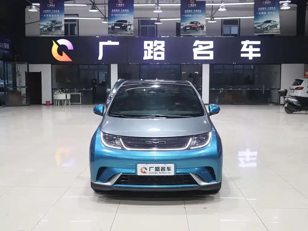 BYD Dolphin Dolphin 2023 401km Knight Edition — photo 1