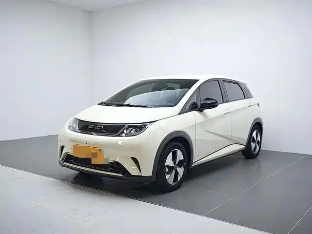 BYD Dolphin Dolphin 2023 420km Freedom Edition — photo 1