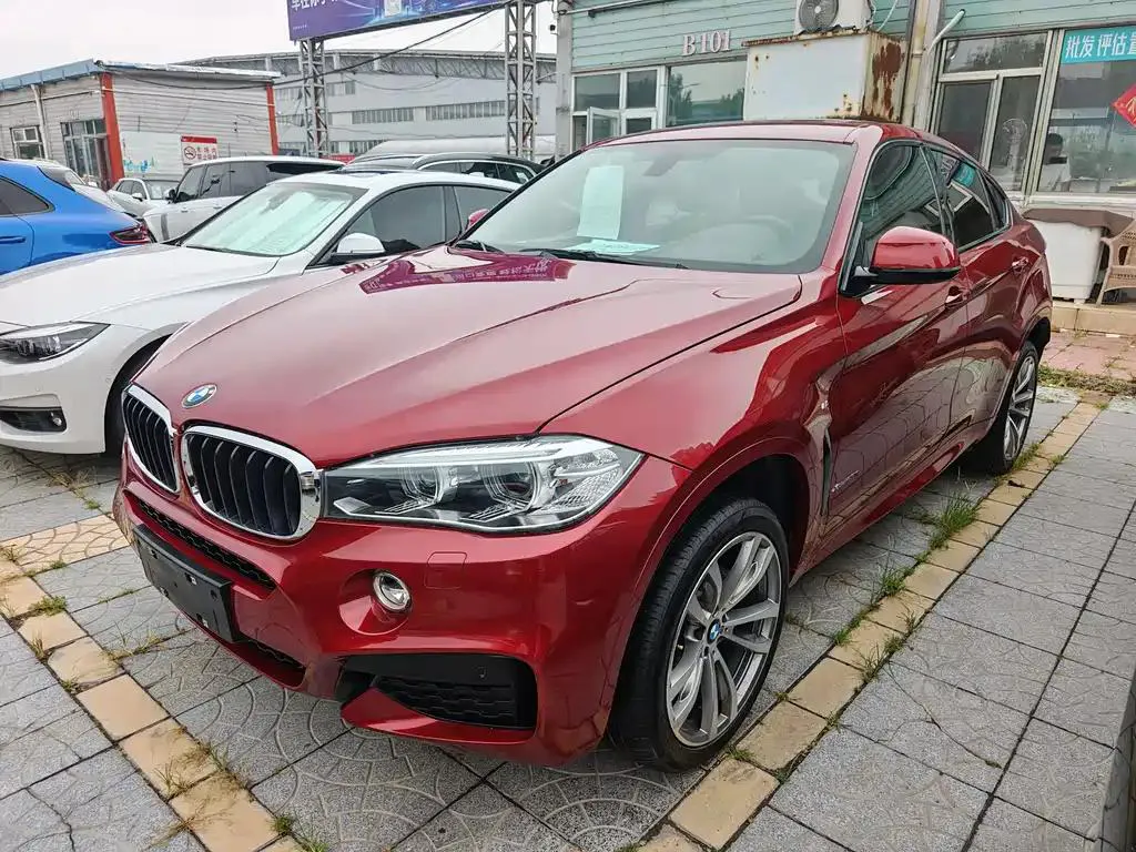 BMW X6 X6 2019 xDrive28i M Sport Package — photo 1
