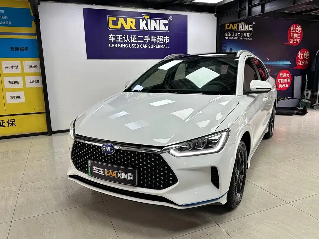 BYD e2 e2 2020 Upgraded Version High Endurance Version Premium Edition — photo 1