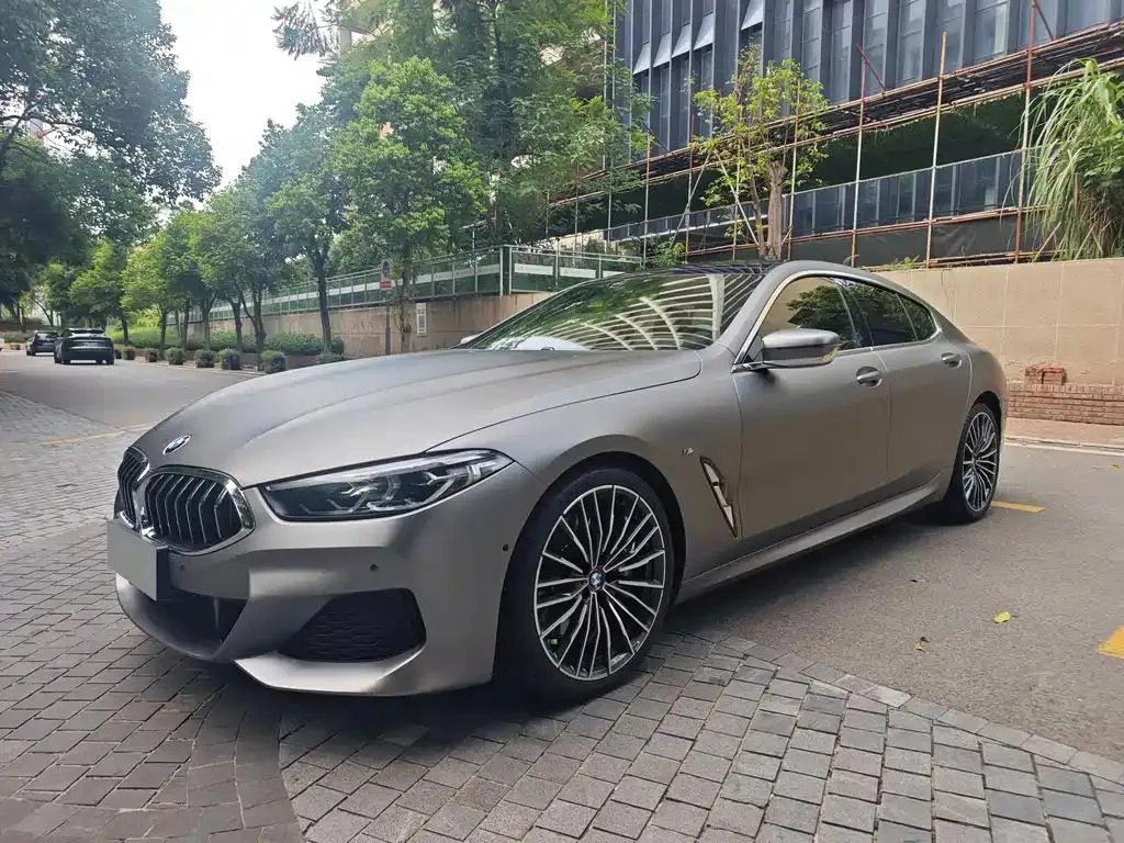 BMW BMW 8 Series — Silver / Gray