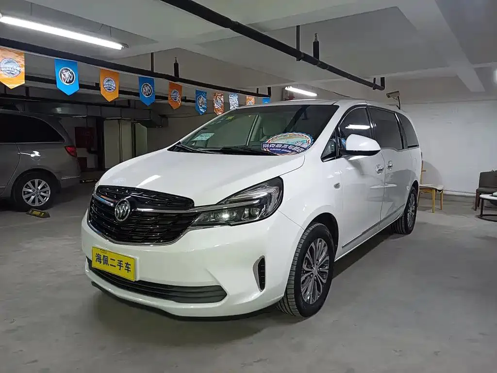 Buick GL8 GL8 2020 Land Business Class 652T Luxury Edition — photo 1