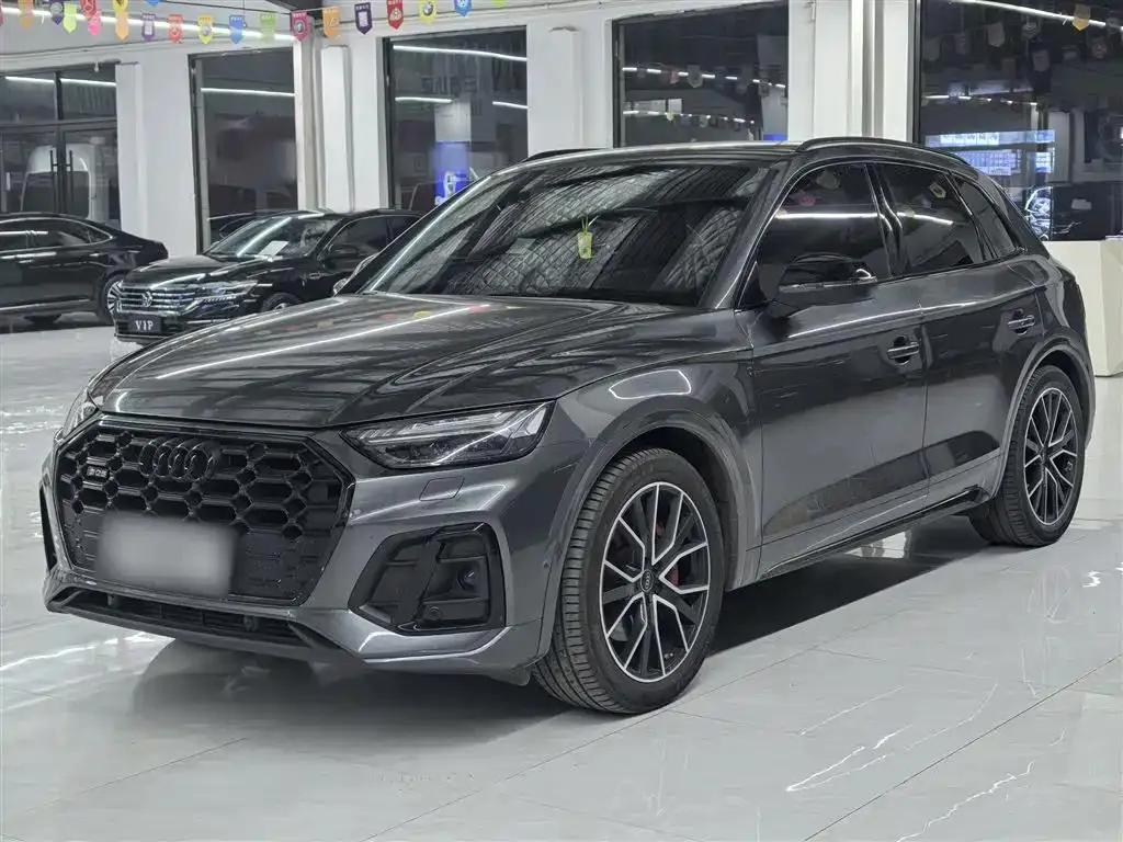 Audi Audi SQ5 — Silver / Gray
