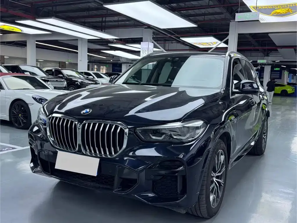 BMW BMW X5 — Noir
