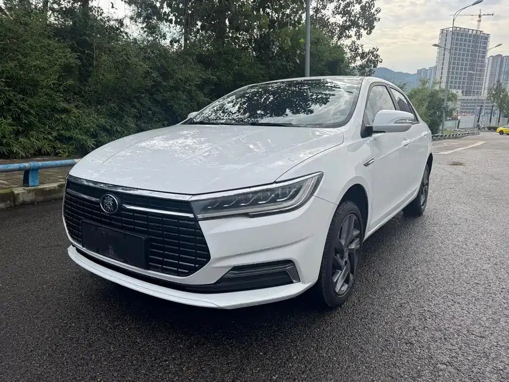 BYD Qin EV Qin New Energy 2019 High-Endurance Luxury Edition — photo 1