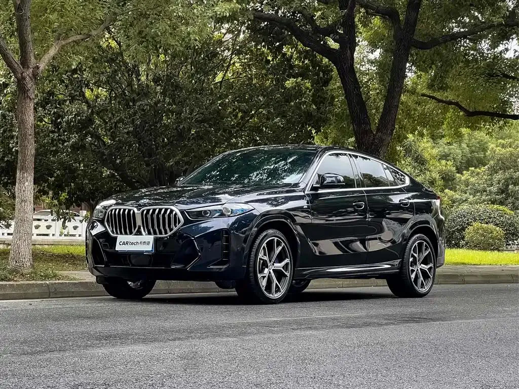 BMW BMW X6 — Black