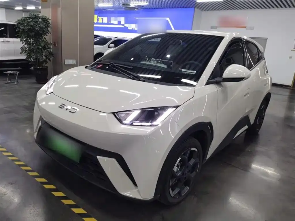 BYD Seagull Seagull 2025 405km Flying Edition — photo 1