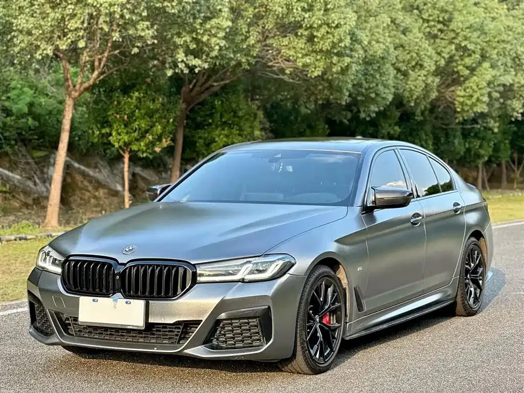 BMW BMW 5 Series — Gris foncé