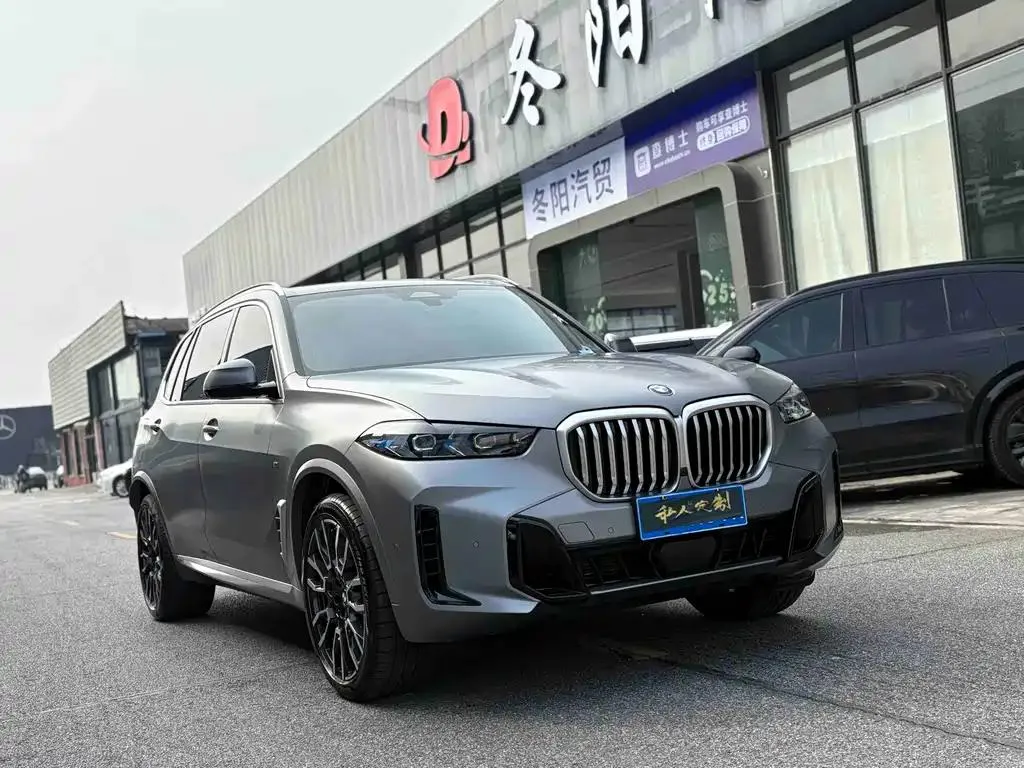 BMW BMW X5 — Silver / Gray