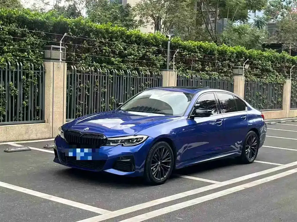 BMW BMW 3 Series — Синий