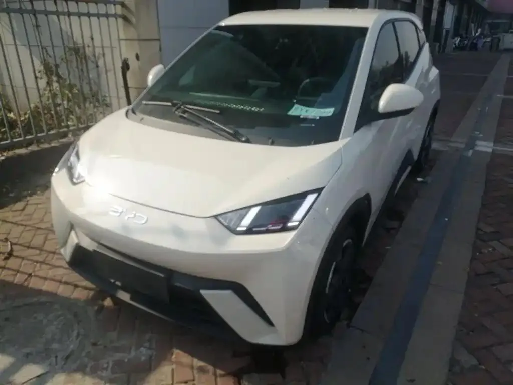 BYD Seagull Seagull 2024 Glory Edition 405km Flying Edition — photo 1
