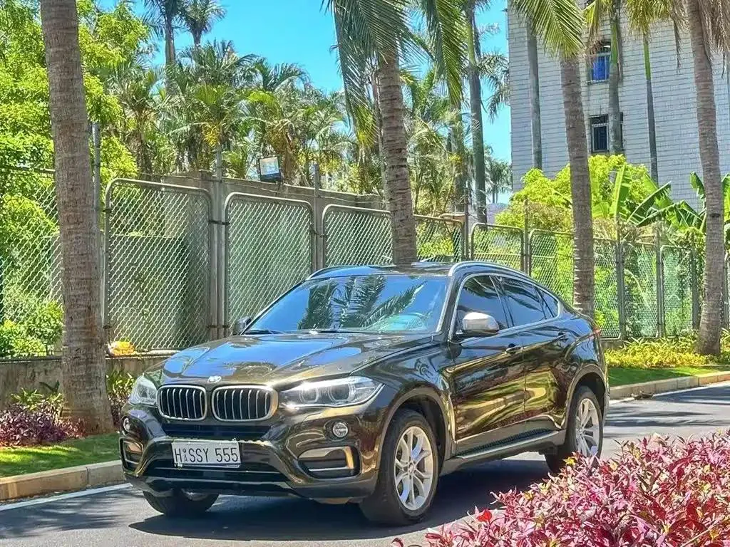 BMW X6 X6 2017 xDrive35i Leading Edition — photo 1