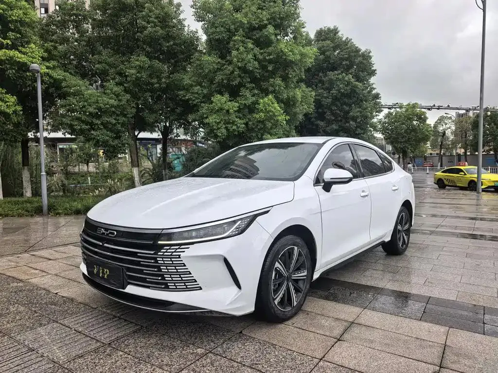 BYD Destroyer 05 Destroyer 05 2024 Glory Edition DM-i 120KM Luxury — photo 1