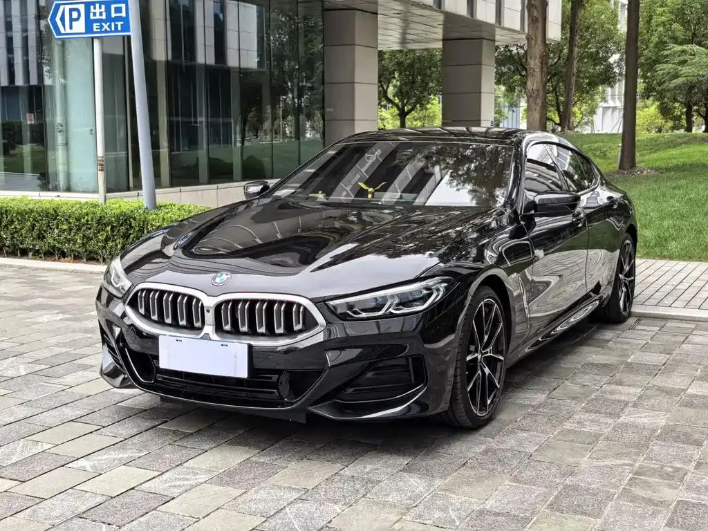 BMW BMW 8 Series — أسود