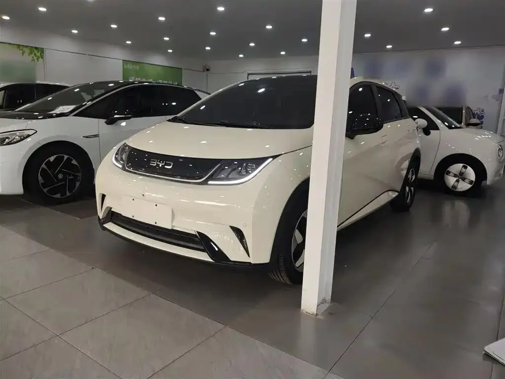 BYD Dolphin Dolphin 2025 420km Fashion Edition — photo 1