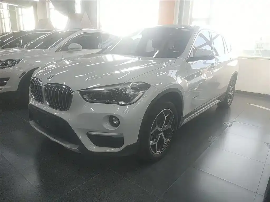BMW X1 X1 2018 xDrive20Li Luxury — photo 1