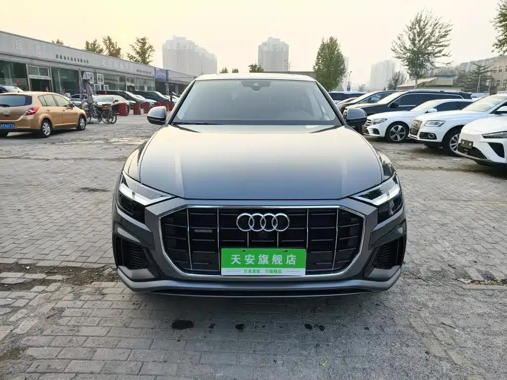 Audi Q8 Q8 2019 55 TFSI Luxury Dynamic Edition — عرض الصورة 2