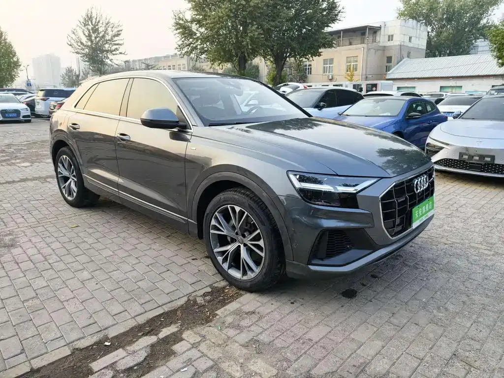 Audi Q8 Q8 2019 55 TFSI Luxury Dynamic Edition — عرض الصورة 3