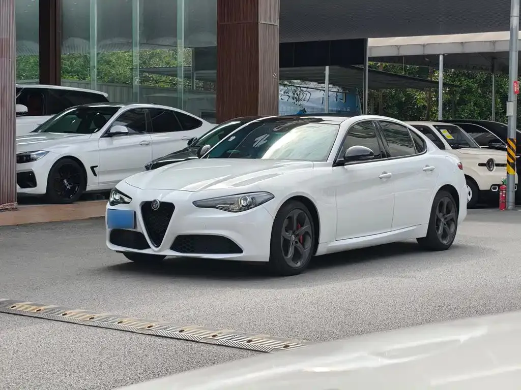 Alfa Alfa Romeo Giulia — أبيض