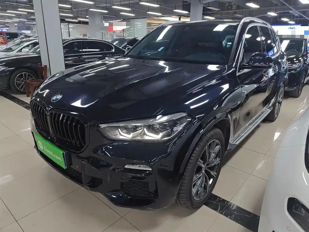 BMW BMW X5 — Blue