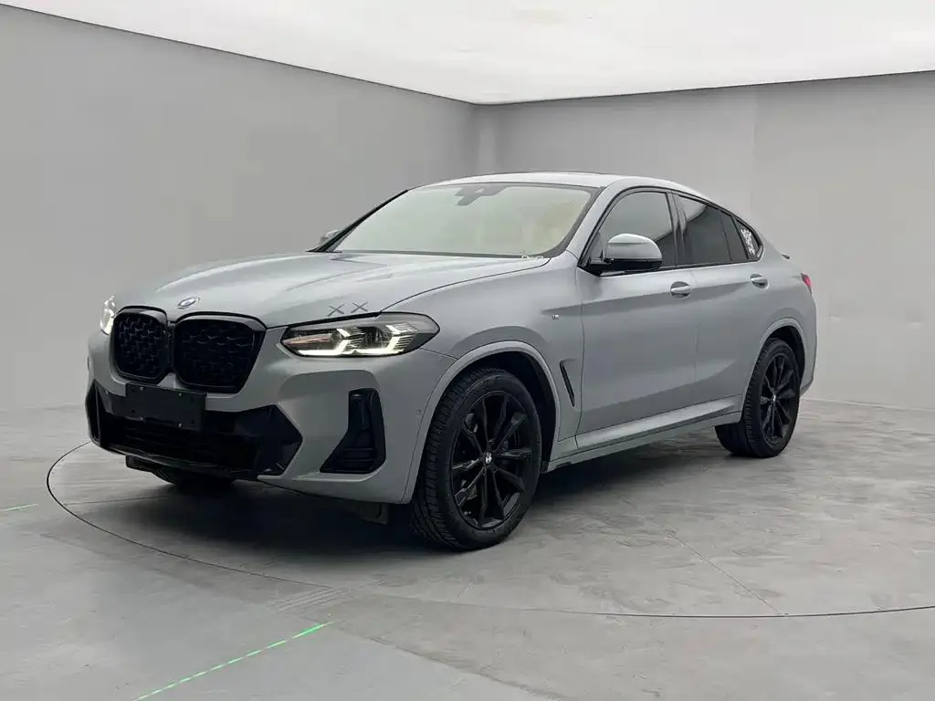 BMW BMW X4 — Silver / Gray