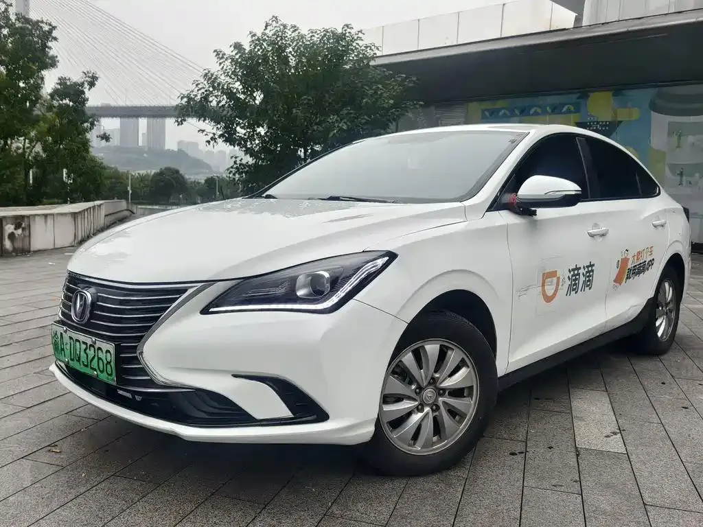 Changan Eado Yidong New Energy 2022 EV460 Smart Online Edition Lithium Iron Phosphate — photo 1