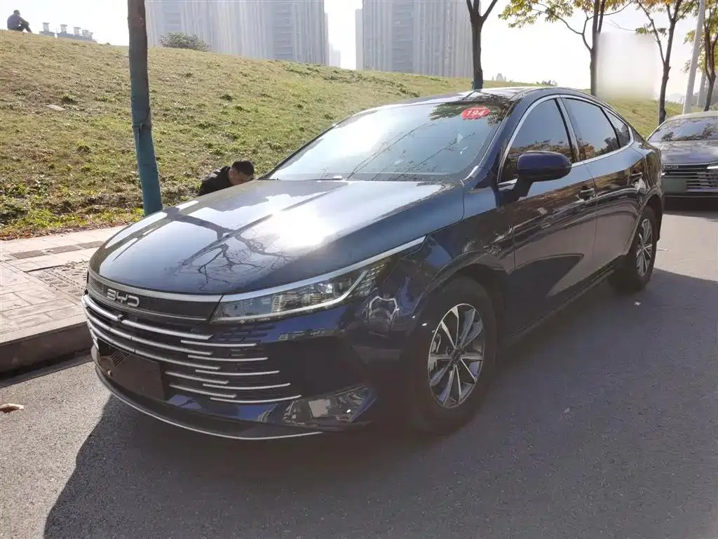 BYD Destroyer 05 Destroyer 05 2023 Champion Edition DM-i 55KM Deluxe — photo 1