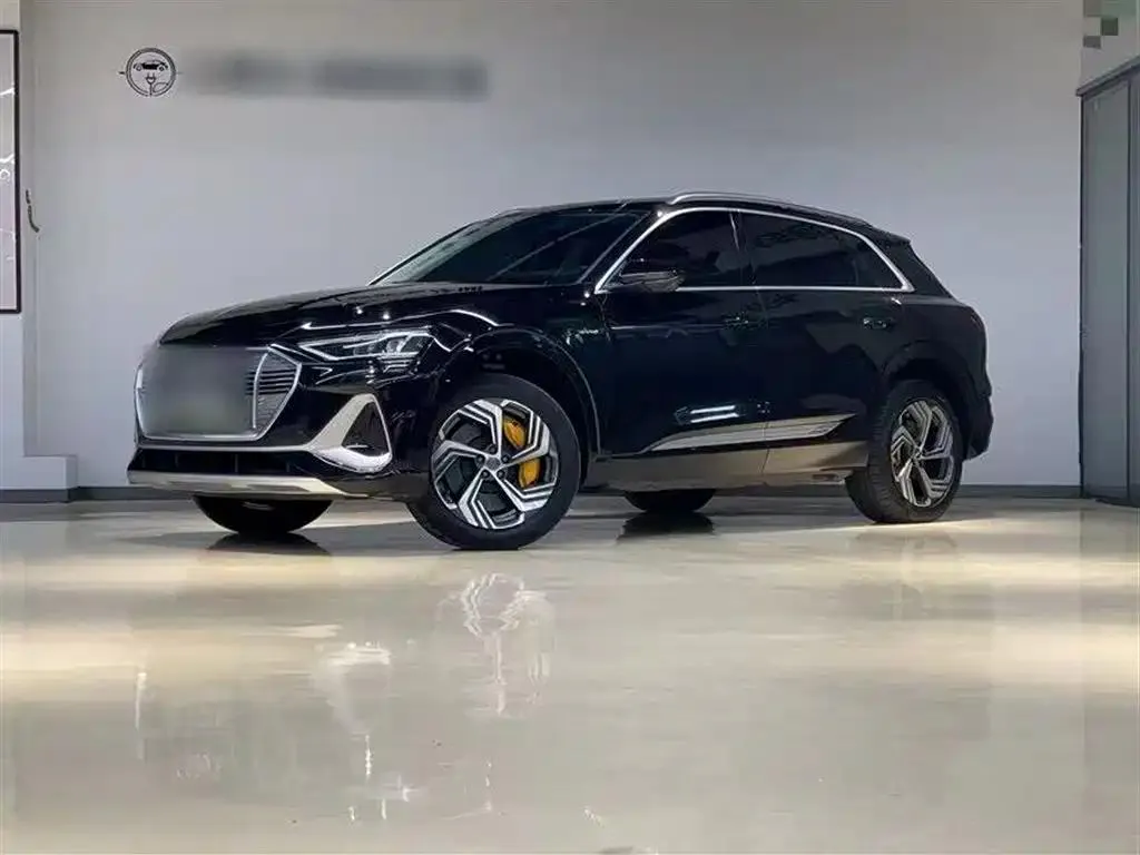 Audi Audi e-tron — Black