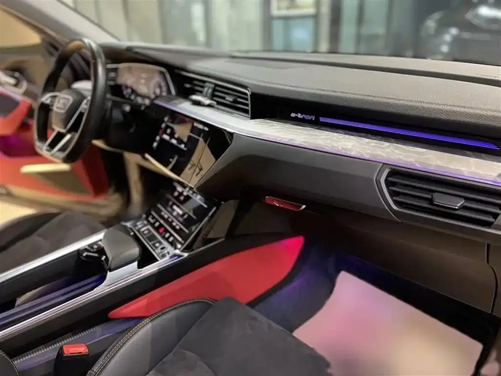 Audi e-tron e-tron 2021 50 quattro Premium Edition — View photo 4