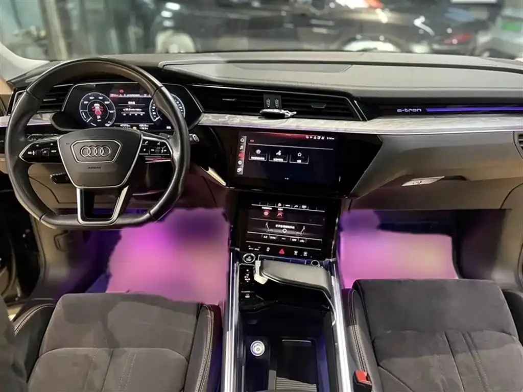 Audi e-tron e-tron 2021 50 quattro Premium Edition — View photo 5