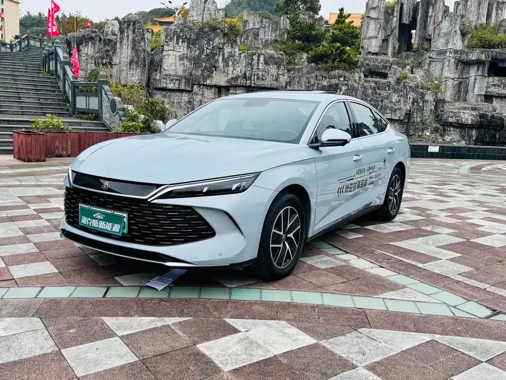 BYD Qin L Qin L 2024 DM-i 120KM Leading Edition — photo 1