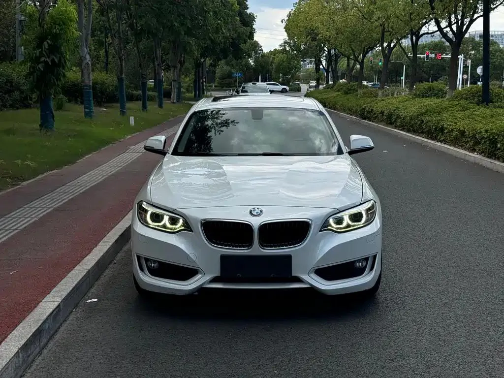 BMW 2 Series 2 Series (Imported) 2017 220i Leading Edition — photo 1