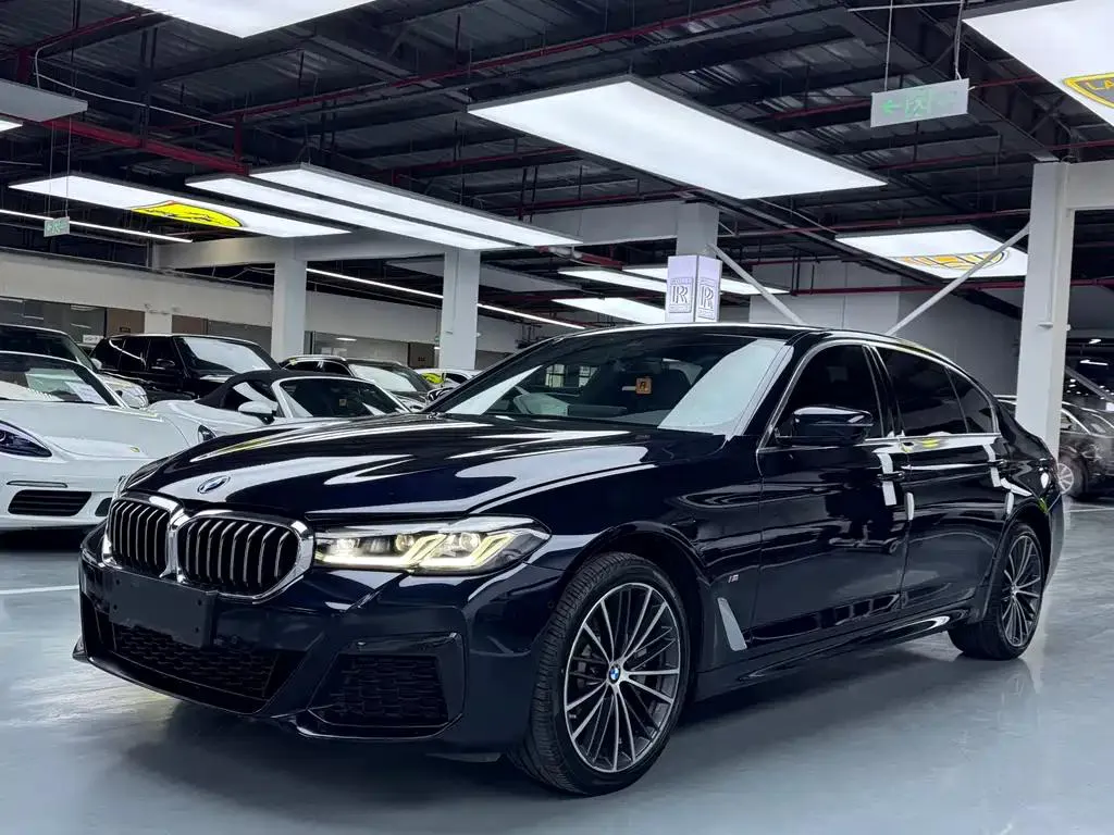 BMW BMW 5 Series — أسود