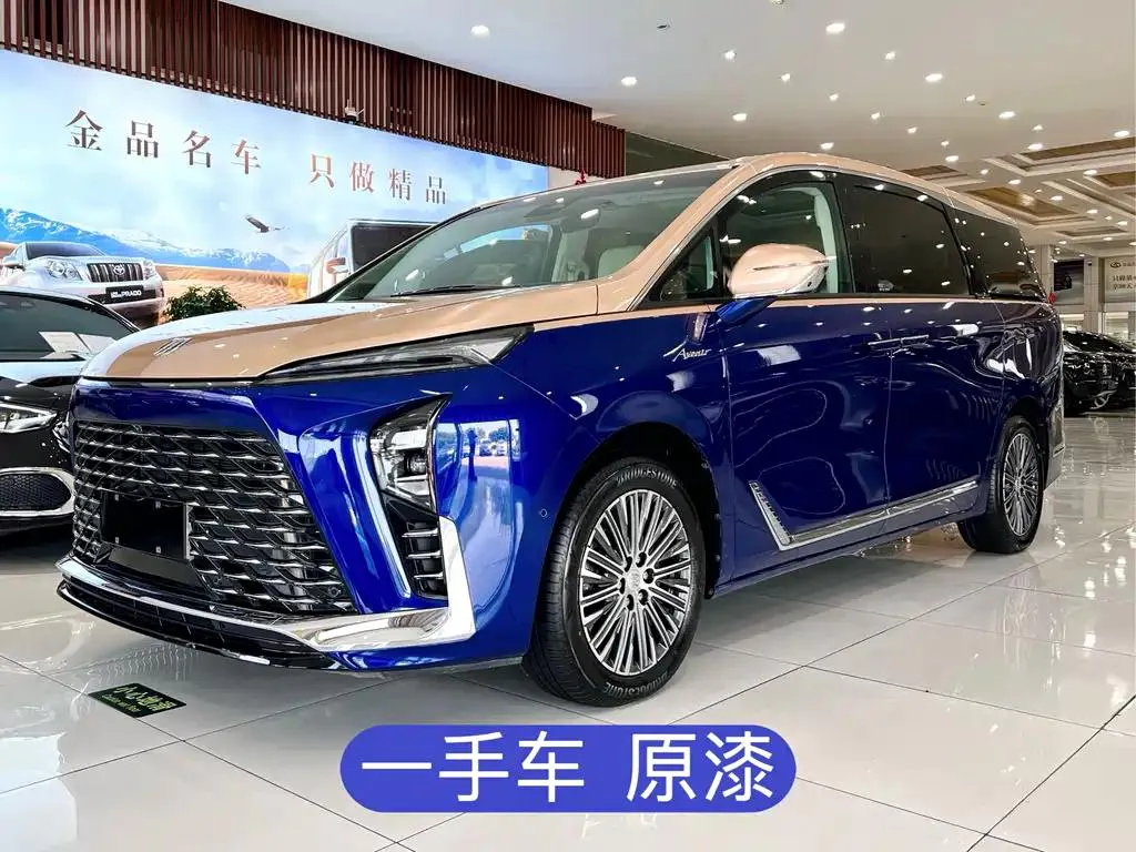 Buick Buick GL8 — Blue