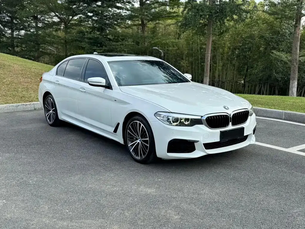 BMW 5 Series 5 Series 2019 facelift 530Li Leading M Sport Package — photo 1