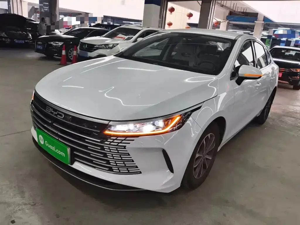 BYD Destroyer 05 Destroyer 05 2024 Glory Edition DM-i 55KM Luxury — photo 1