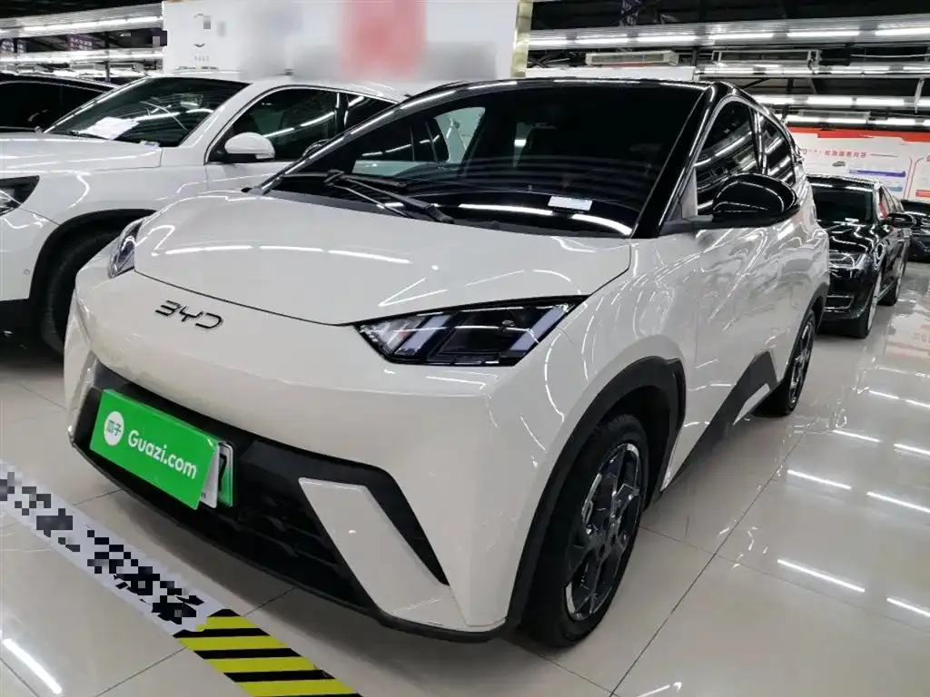 BYD Seagull Seagull 2025 305km Freedom Edition — photo 1
