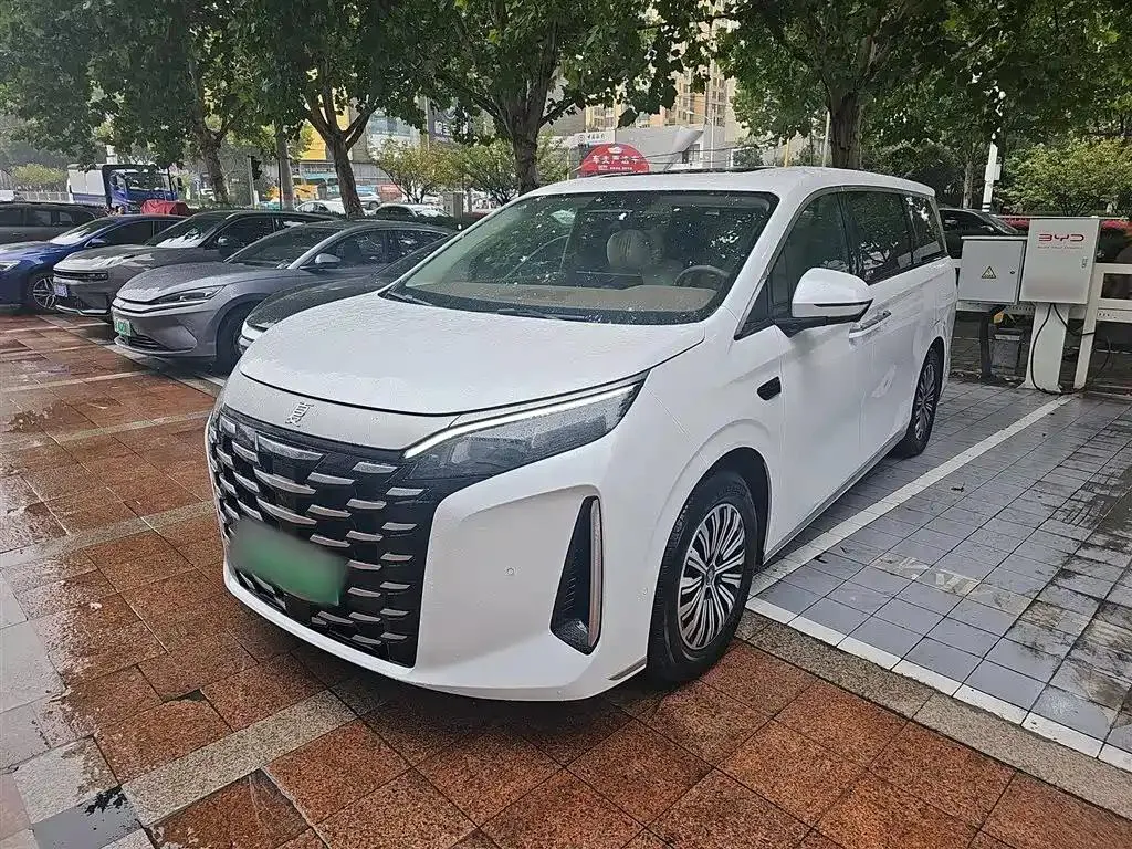 BYD BYD XIA — White