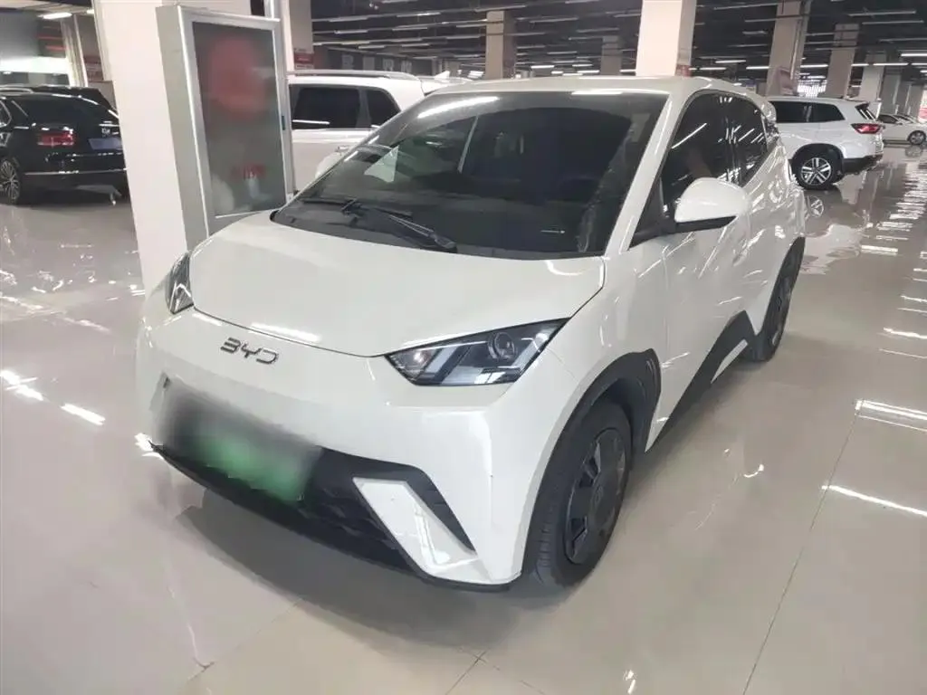 BYD Seagull Seagull 2024 Glory Edition 305km Vitality Edition — photo 1