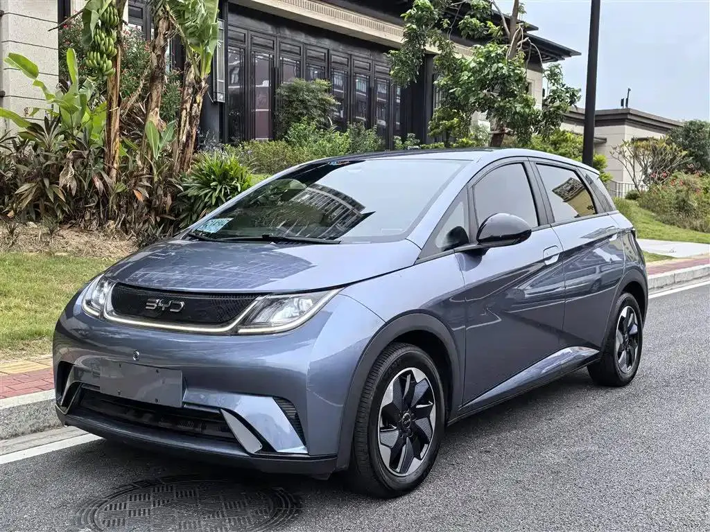 BYD Dolphin Dolphin 2024 Glory Edition 420km Freedom Edition — photo 1