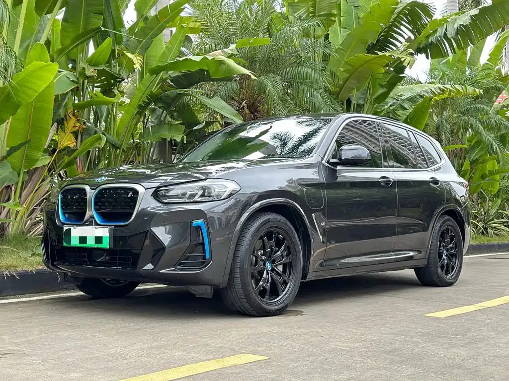 BMW BMW iX3 — Silver / Gray