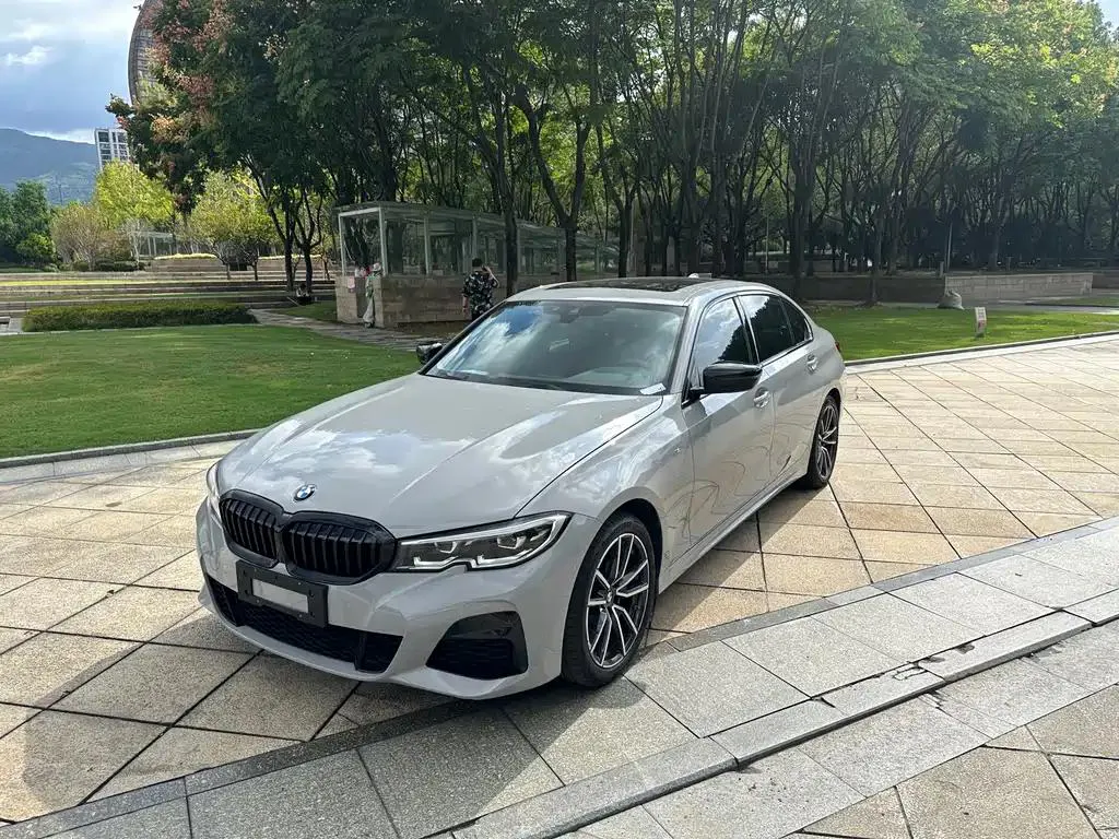 BMW BMW 3 Series — Blue